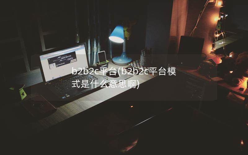 b2b2c平台(b2b2c平台模式是什么意思啊)