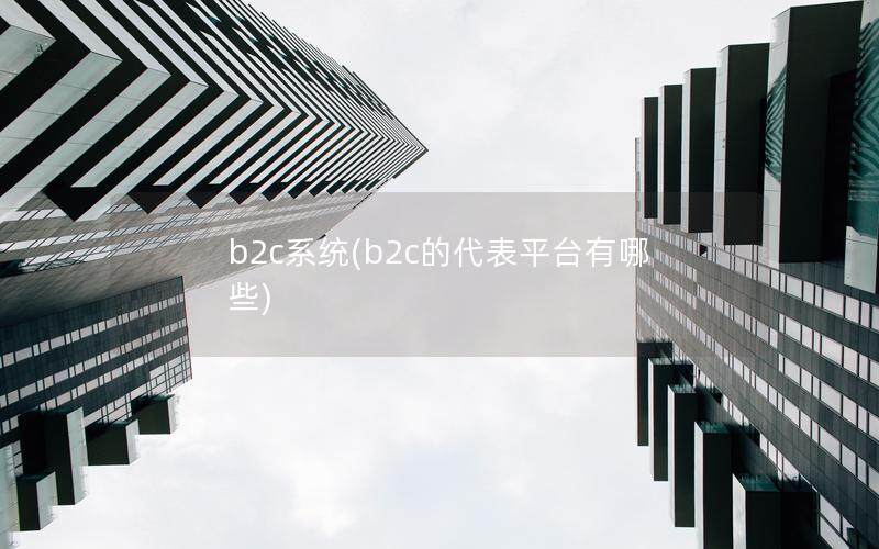 b2c系统(b2c的代表平台有哪些)