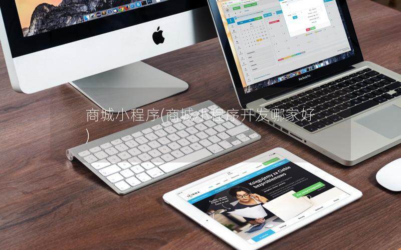 商城小程序(商城小程序开发哪家好)