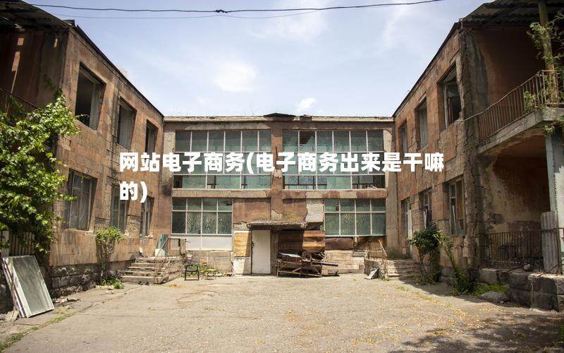 网站电子商务(电子商务出来是干嘛的)