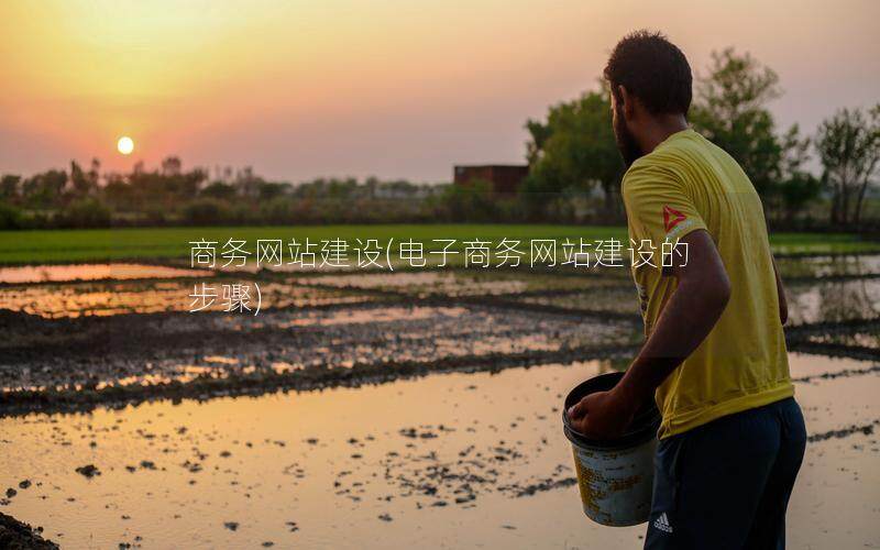 商务网站建设(电子商务网站建设的步骤)