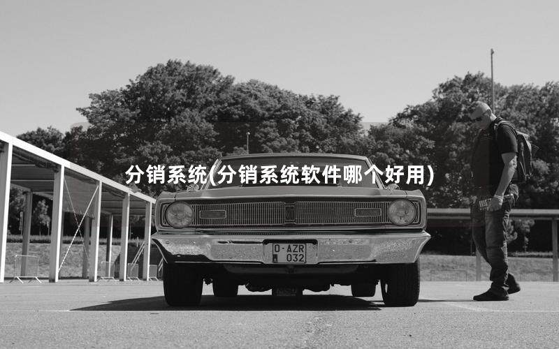 分销系统(分销系统软件哪个好用)