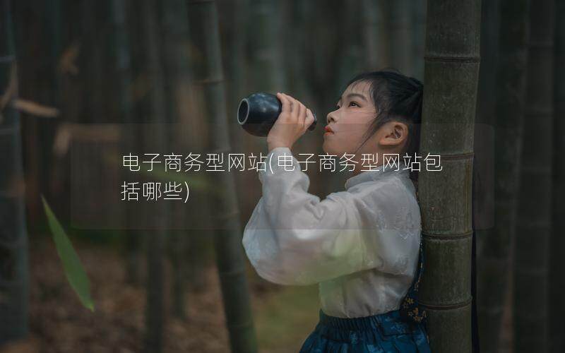电子商务型网站(电子商务型网站包括哪些)