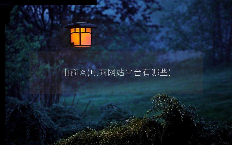 电商网(电商网站平台有哪些)