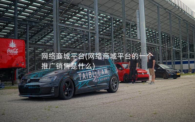 网络商城平台(网络商城平台的一个推广销售是什么)