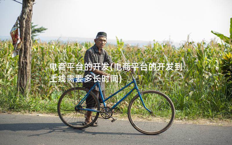 电商平台的开发(电商平台的开发到上线需要多长时间)