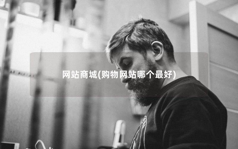 网站商城(购物网站哪个最好)