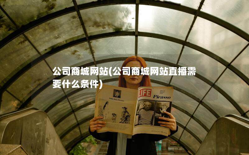 公司商城网站(公司商城网站直播需要什么条件)
