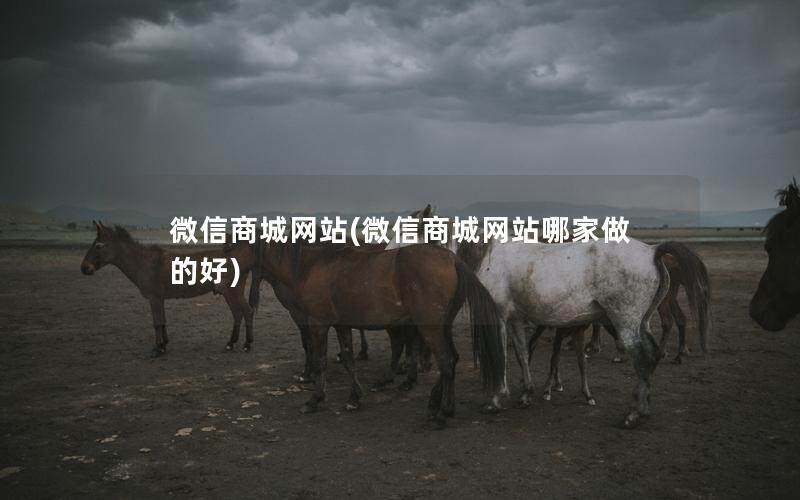微信商城网站(微信商城网站哪家做的好)