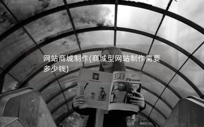 网站商城制作(商城型网站制作需要多少钱)