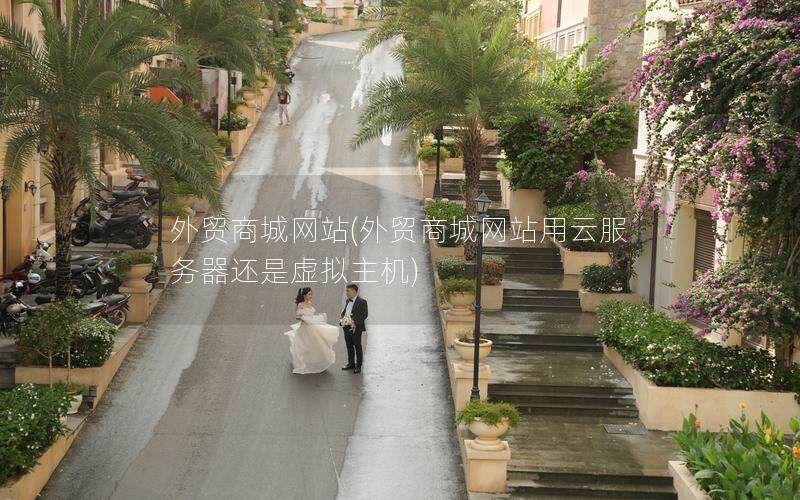 外贸商城网站(外贸商城网站用云服务器还是虚拟主机)