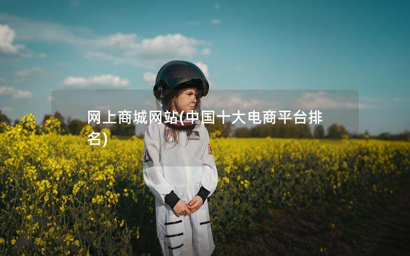 网上商城网站(中国十大电商平台排名)