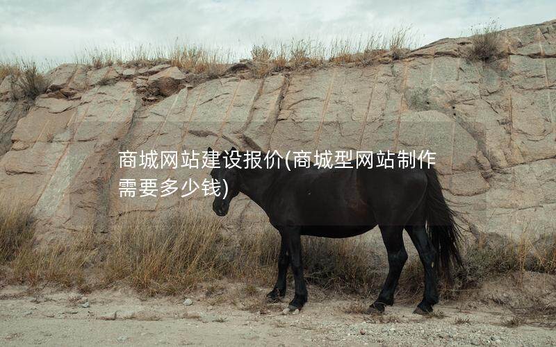 商城网站建设报价(商城型网站制作需要多少钱)