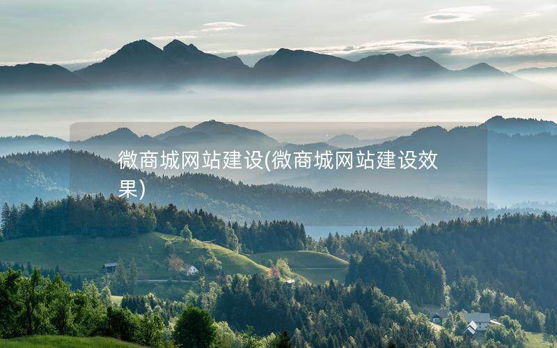 微商城网站建设(微商城网站建设效果)