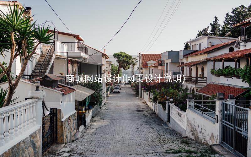 商城网站设计(网页设计说明)