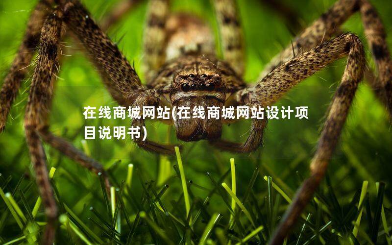 在线商城网站(在线商城网站设计项目说明书)