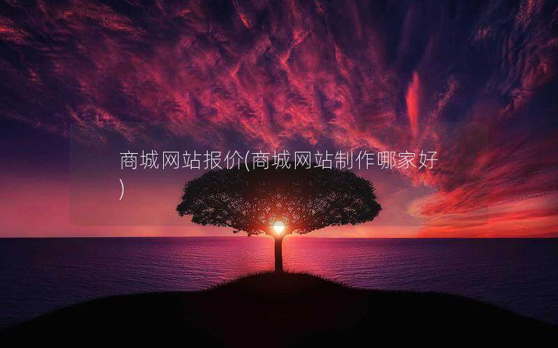 商城网站报价(商城网站制作哪家好)