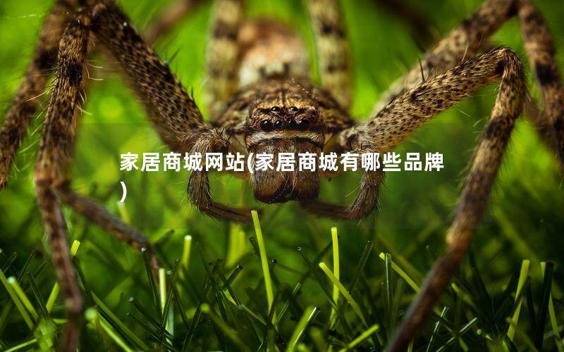 家居商城网站(家居商城有哪些品牌)