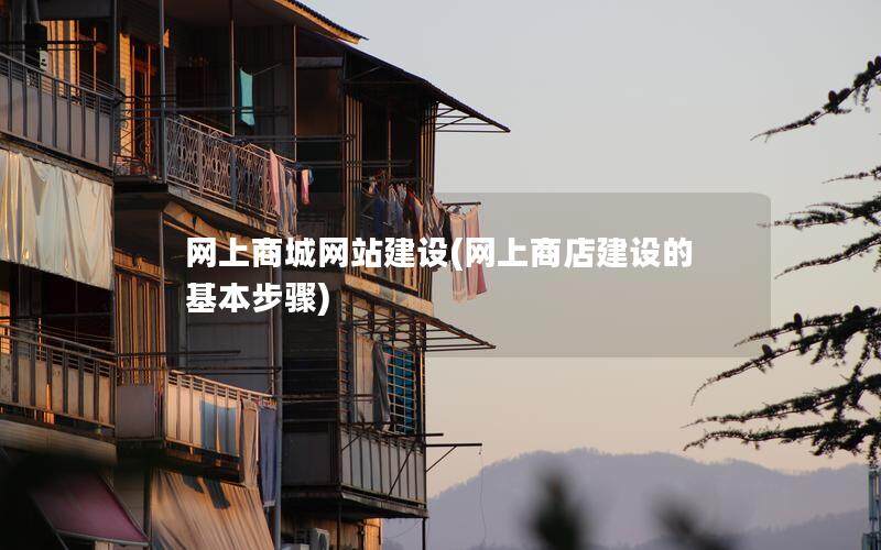 网上商城网站建设(网上商店建设的基本步骤)