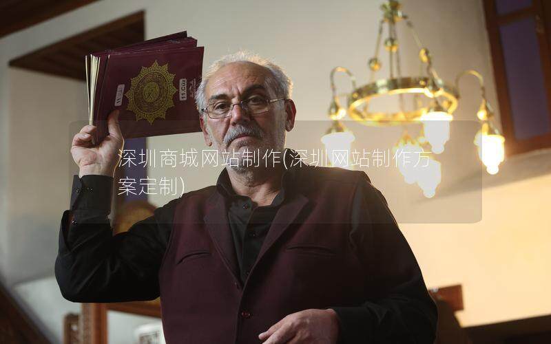 深圳商城网站制作(深圳网站制作方案定制)