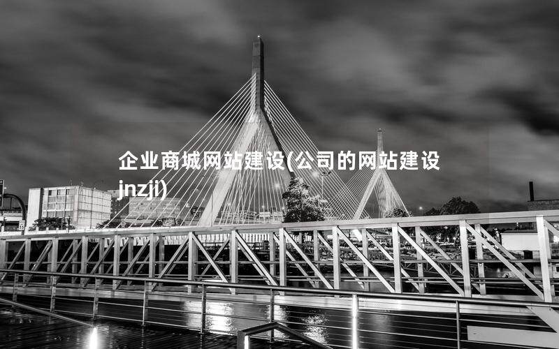 企业商城网站建设(公司的网站建设jnzji)