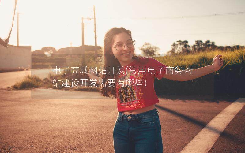电子商城网站开发(常用电子商务网站建设开发需要有哪些)