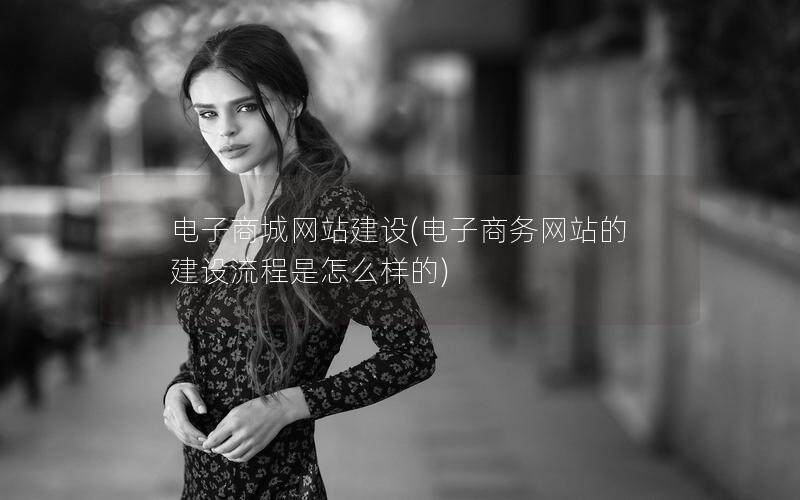 电子商城网站建设(电子商务网站的建设流程是怎么样的)