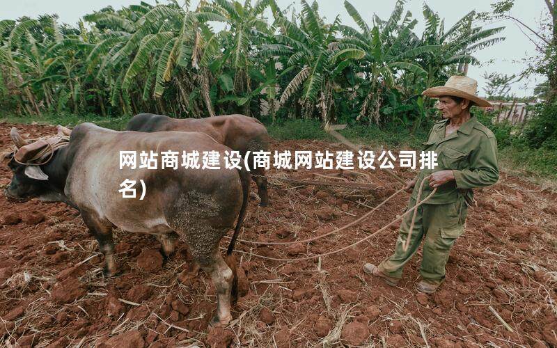 网站商城建设(商城网站建设公司排名)