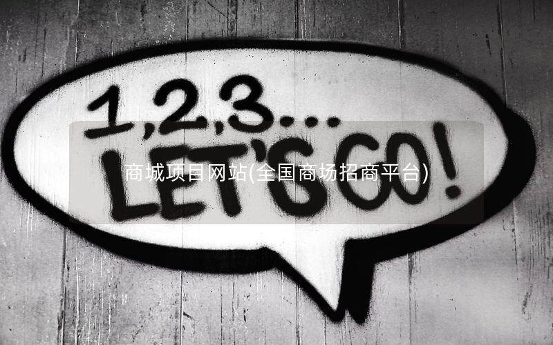 商城项目网站(全国商场招商平台)