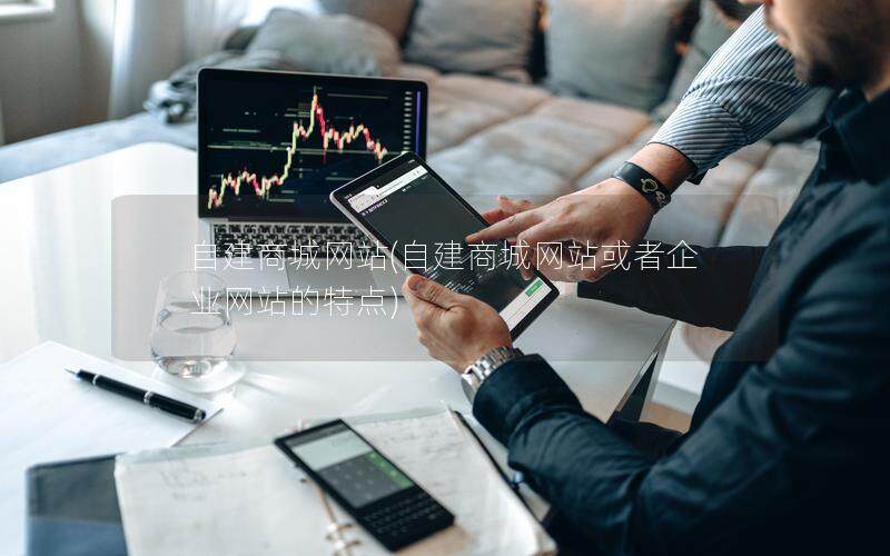 自建商城网站(自建商城网站或者企业网站的特点)