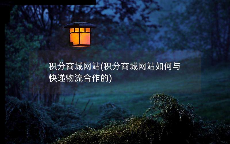 积分商城网站(积分商城网站如何与快递物流合作的)