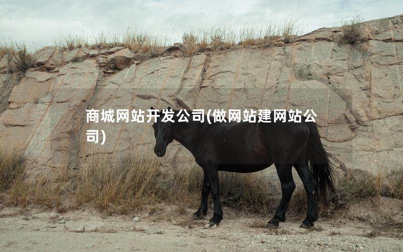 商城网站开发公司(做网站建网站公司)