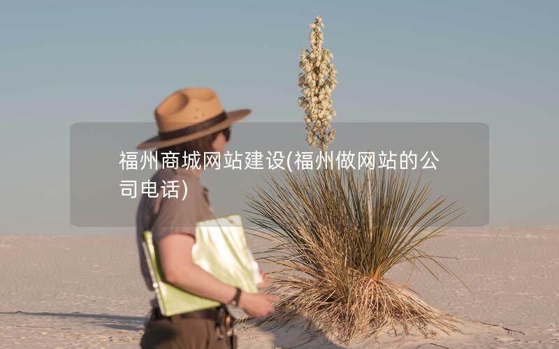 福州商城网站建设(福州做网站的公司电话)