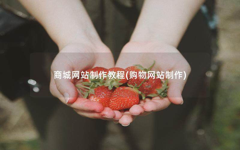 商城网站制作教程(购物网站制作)