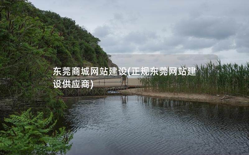 东莞商城网站建设(正规东莞网站建设供应商)