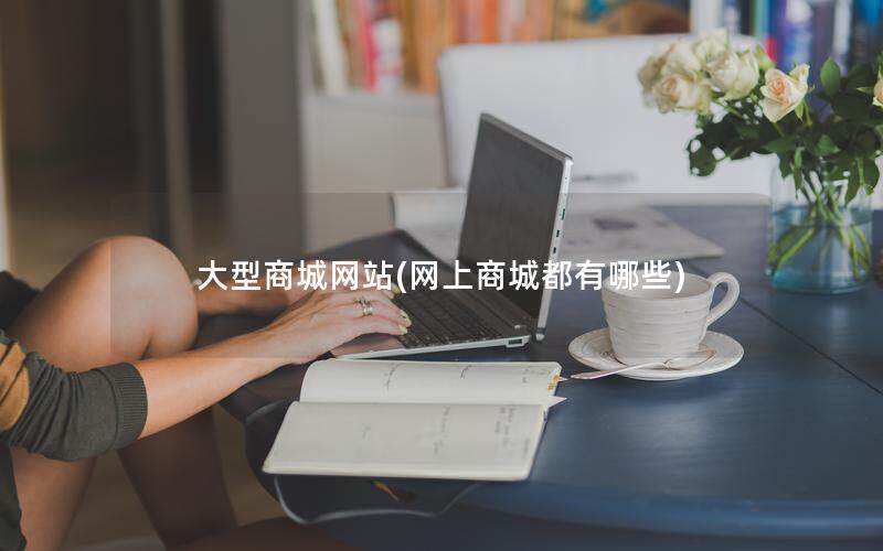 大型商城网站(网上商城都有哪些)