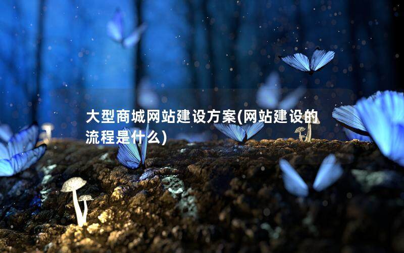 大型商城网站建设方案(网站建设的流程是什么)