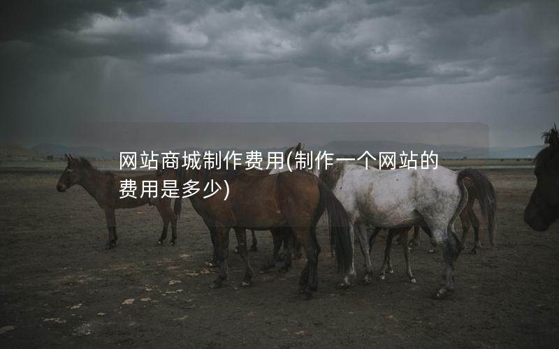 网站商城制作费用(制作一个网站的费用是多少)