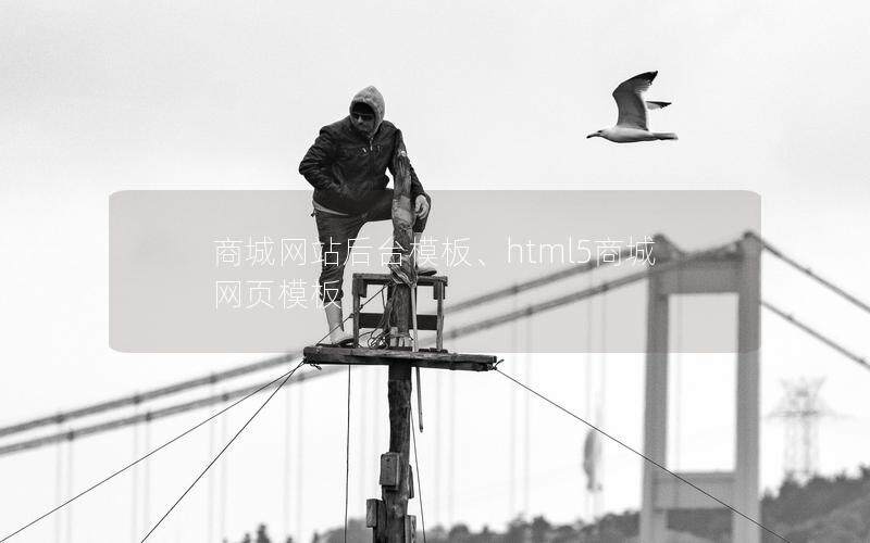 商城网站后台模板、html5商城网页模板