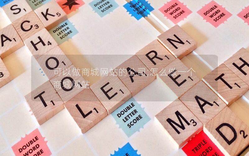 可以做商城网站的公司;怎么做一个商城网站