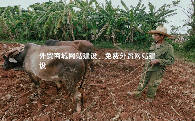 外贸商城网站建设、免费外贸网站建设