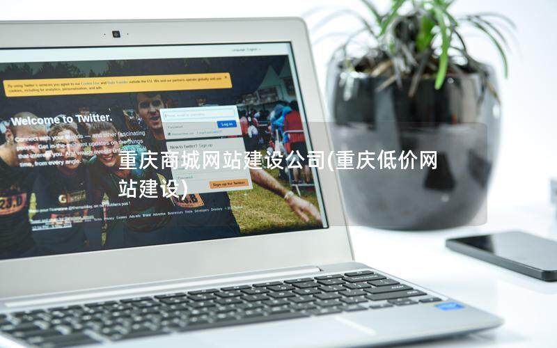 重庆商城网站建设公司(重庆低价网站建设)