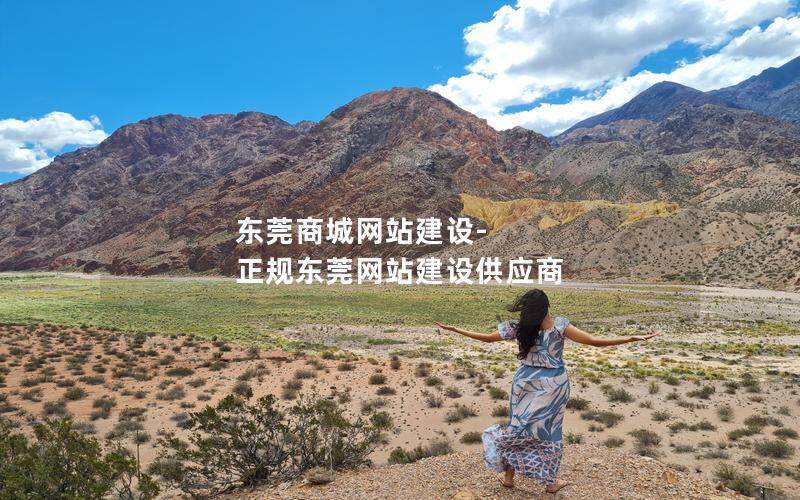 东莞商城网站建设-正规东莞网站建设供应商