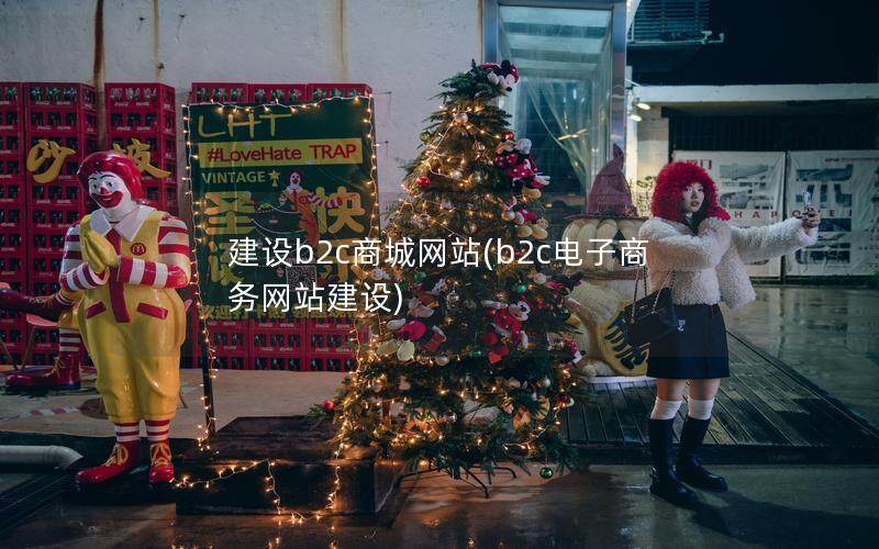 建设b2c商城网站(b2c电子商务网站建设)