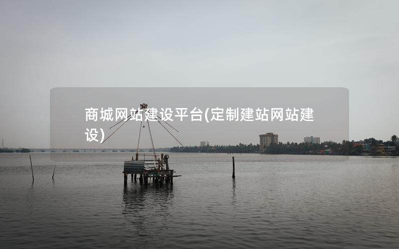 商城网站建设平台(定制建站网站建设)