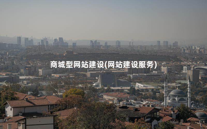 商城型网站建设(网站建设服务)