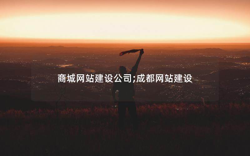 商城网站建设公司;成都网站建设