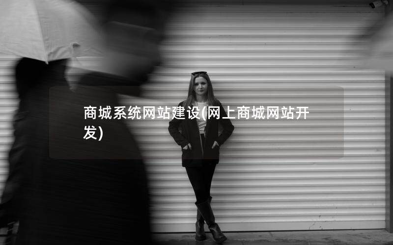 商城系统网站建设(网上商城网站开发)