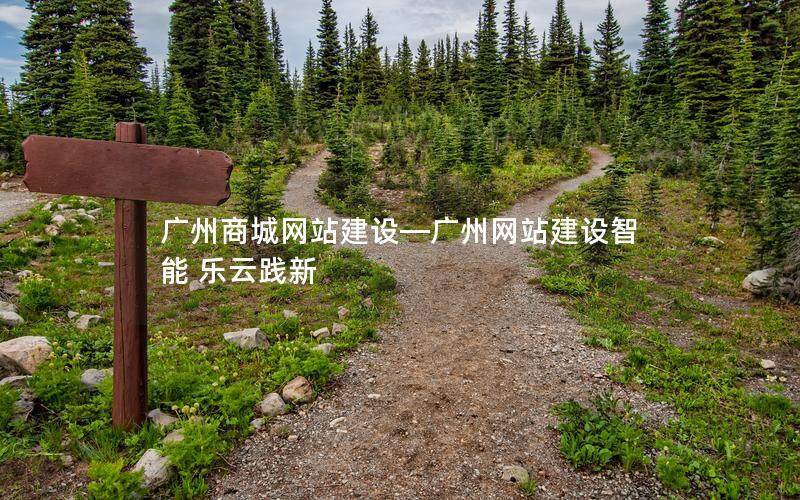 广州商城网站建设—广州网站建设智能 乐云践新