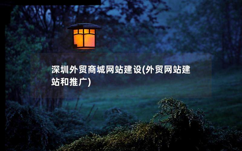 深圳外贸商城网站建设(外贸网站建站和推广)